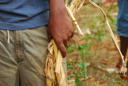 09.11.2011: Pastoralist conflicts and civil peace building in South Ethiopia and bordering areas, Berlin